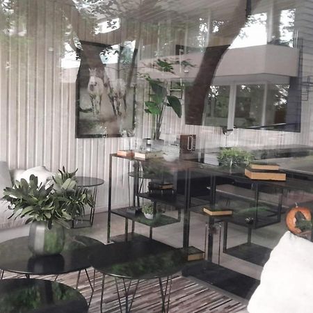 Alta Vista Pucon Centro Apartment Екстериор снимка