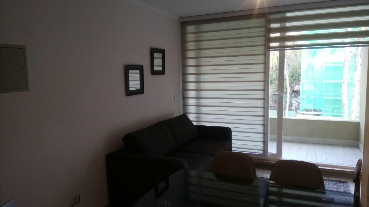 Alta Vista Pucon Centro Apartment Екстериор снимка